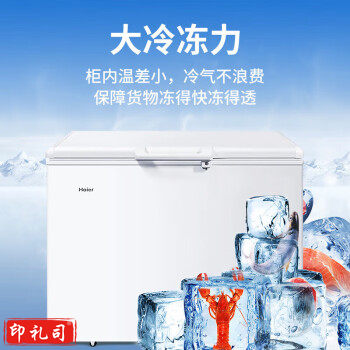 海尔（Haier）冰柜商用大容量379升冷冻柜超低温速冻大冰柜超市海鲜冷柜BC/BD-379GHP