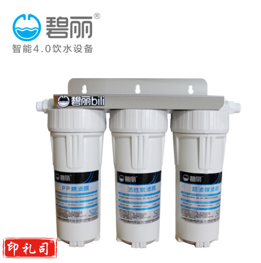 碧丽bili家用厨下式净水机净水器过滤器PP棉活性炭水处理器 型号JC60（货号JC60-3A）