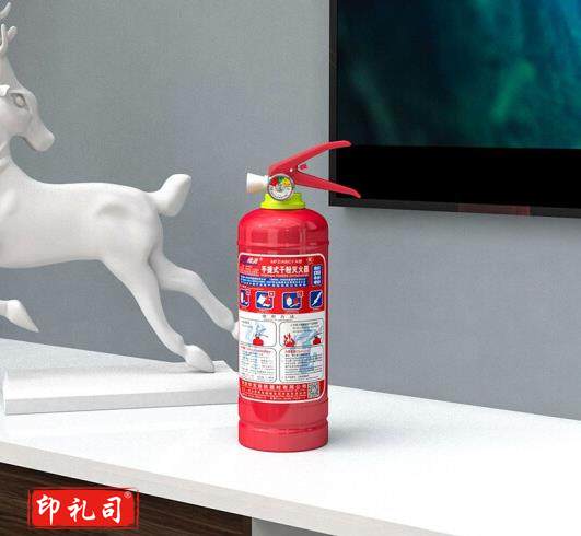 绿消 1公斤干粉灭火器（CX202409021421098759）