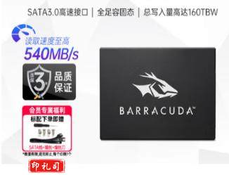 希捷（SEAGATE）固态硬盘256g台式ssd m2 256GB sata接口