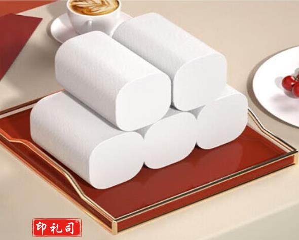 卷纸 10卷1提（CX202308171035012813）