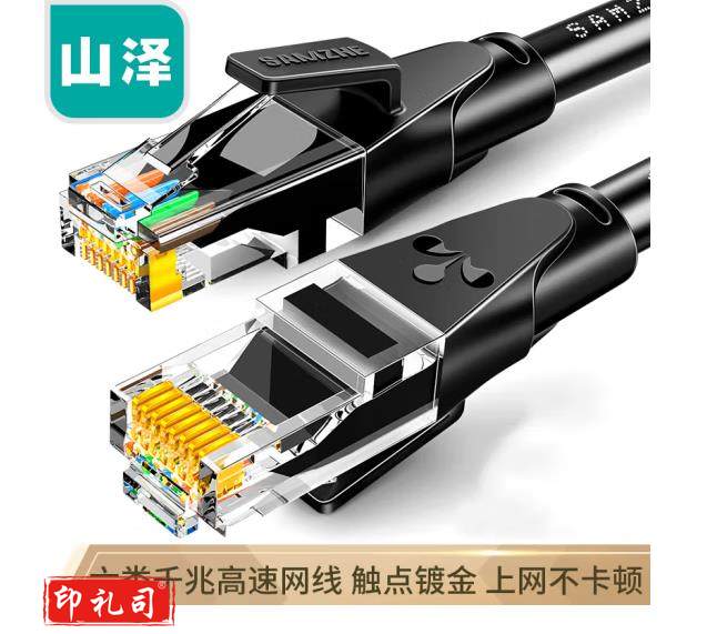 山泽(SAMZHE)六类网线 CAT6类千兆极速8芯双绞 黑色10米 WD6100（SC202403181012234426）