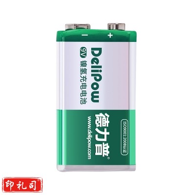 德力普9号电池2块/组（CX202411221651353868）