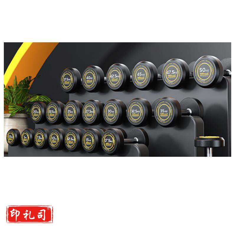 捷英飞电镀园形哑铃套装 J.S.083（CX202312061111332060）