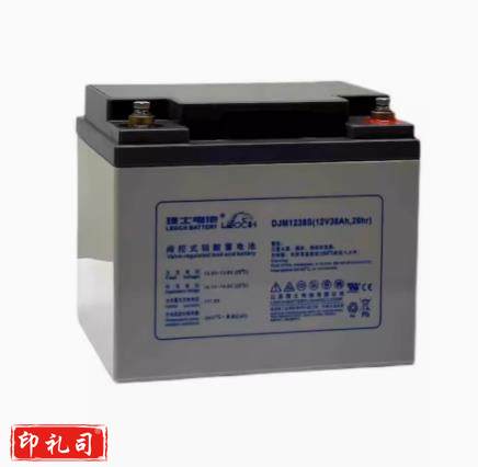 理士蓄电池DJM1238S（CX202403131412387922）