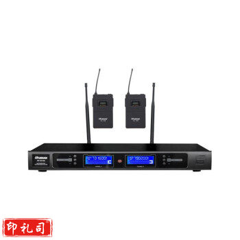 湖山DS-U310A一拖二无线领夹麦克