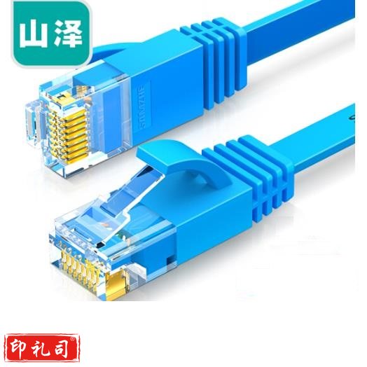 山泽（SAMZHE）六类网线 扁线 CAT6类千兆扁平非屏蔽网络连接线 蓝色5米 SZ-605BE（10根起售）