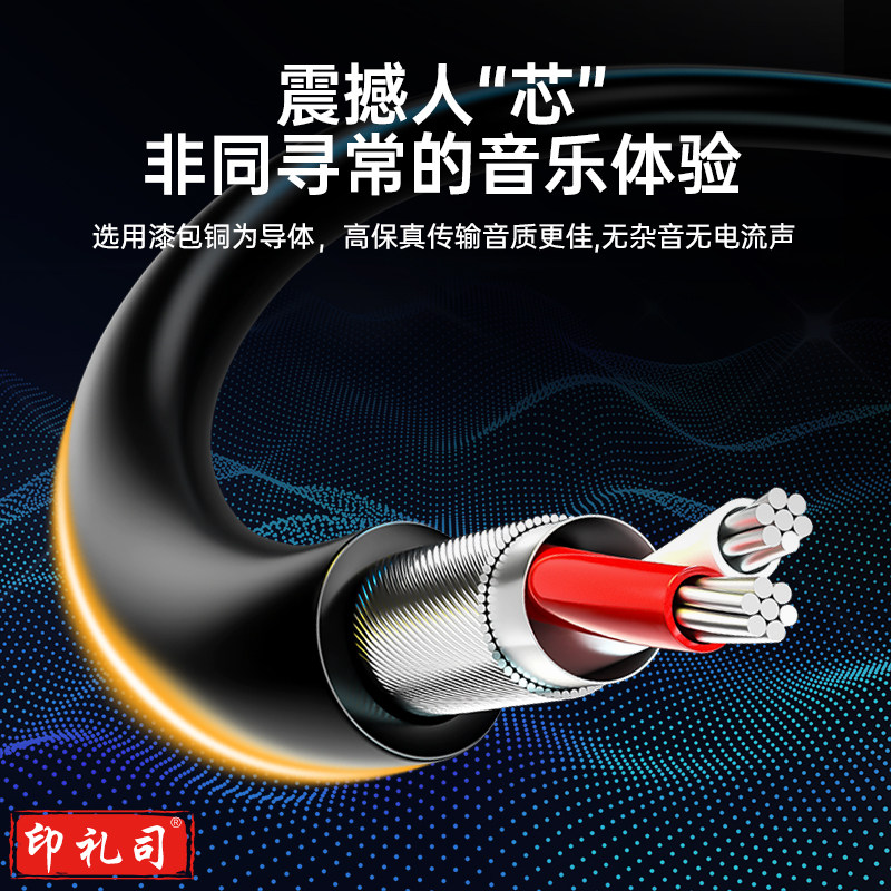 山泽（SAMZHE） YP-130 音频线 3.5mm公对公手机汽车连接线 3米黑色（CX202411251258233813）