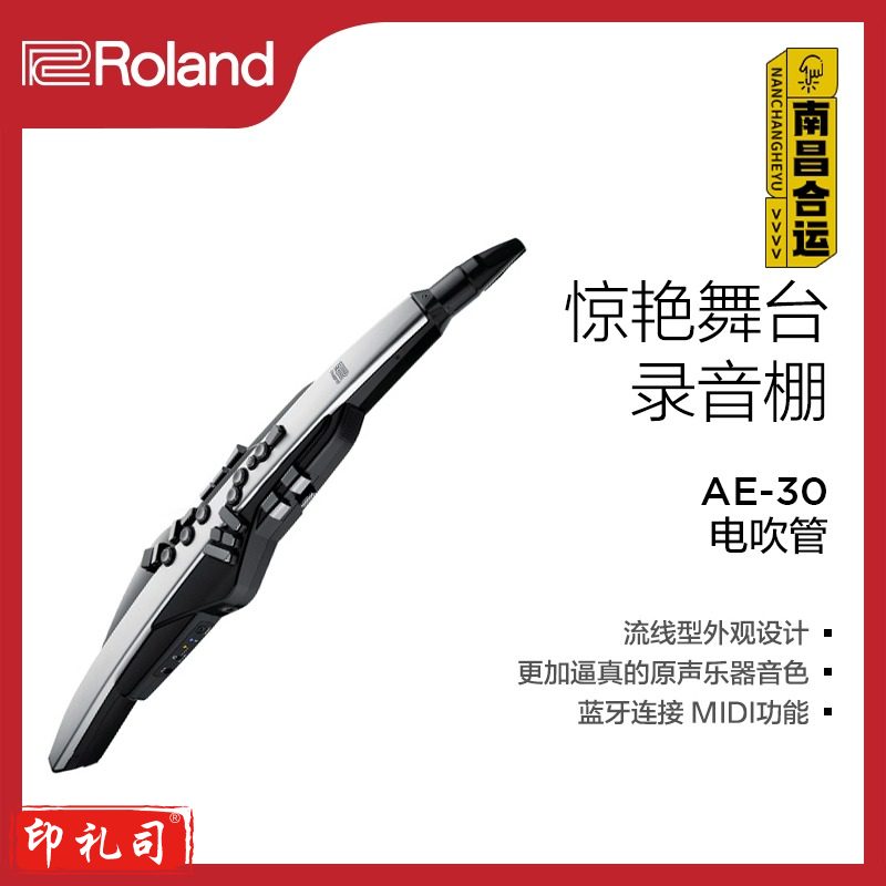 罗兰 RolandAE-30 Aerophone Pro电萨克斯电子吹管乐器带扬声器