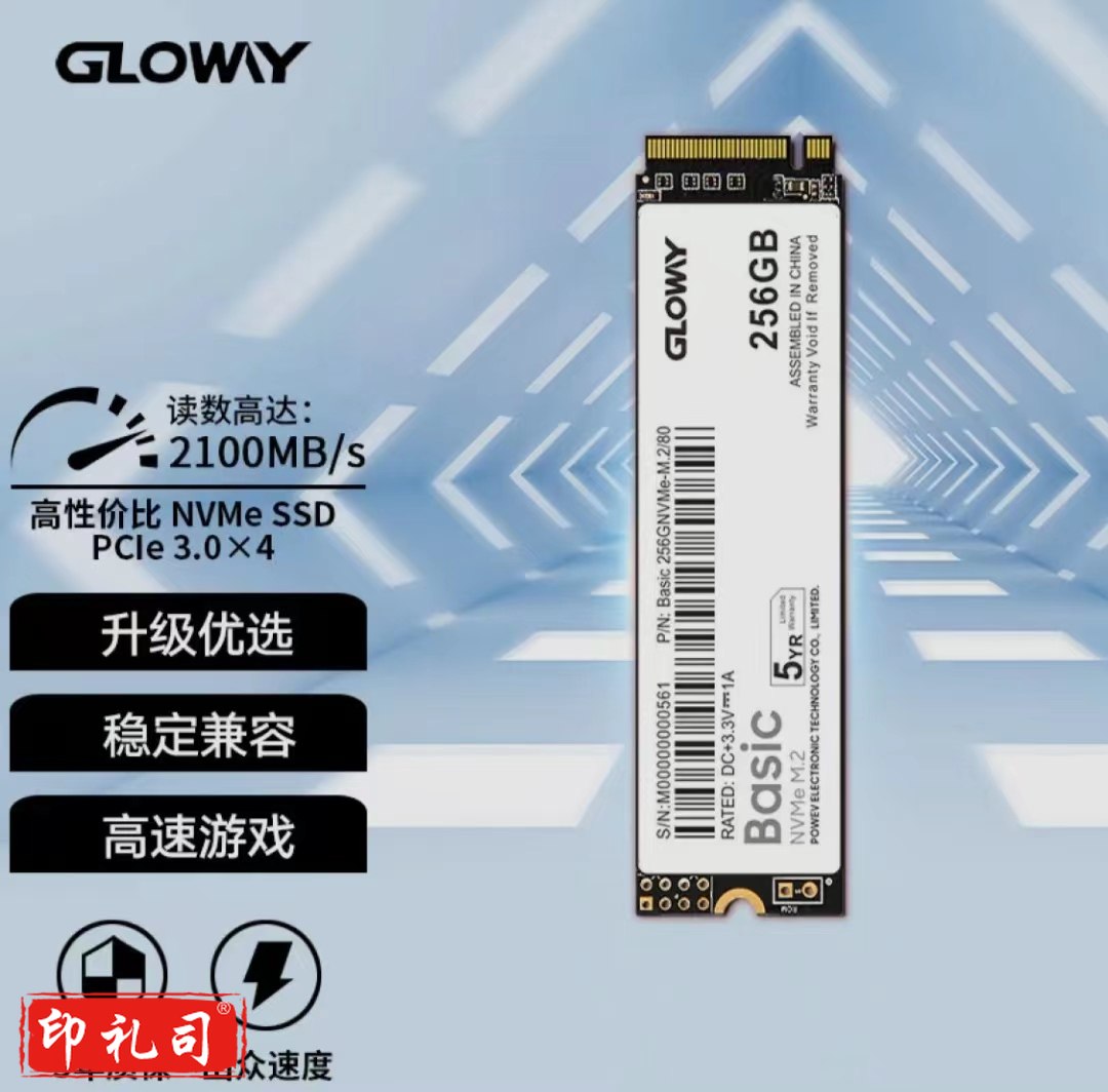 光威 256GB SSD固态硬盘 M.2接口(NVMe协议) Basic-基础版 TLC颗粒