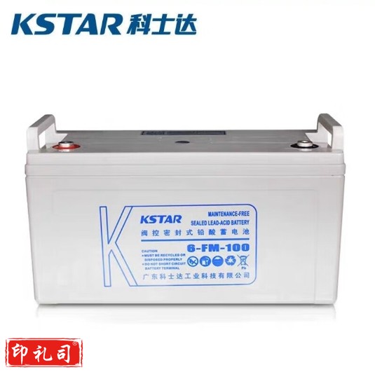 科士达 6-FM-100（含辅材及安装调试、适配原有科士达UPS不间断电源，三年质保）