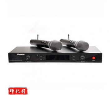 湖山(HUSHAN)DS-UT20 无线话筒 一拖二 