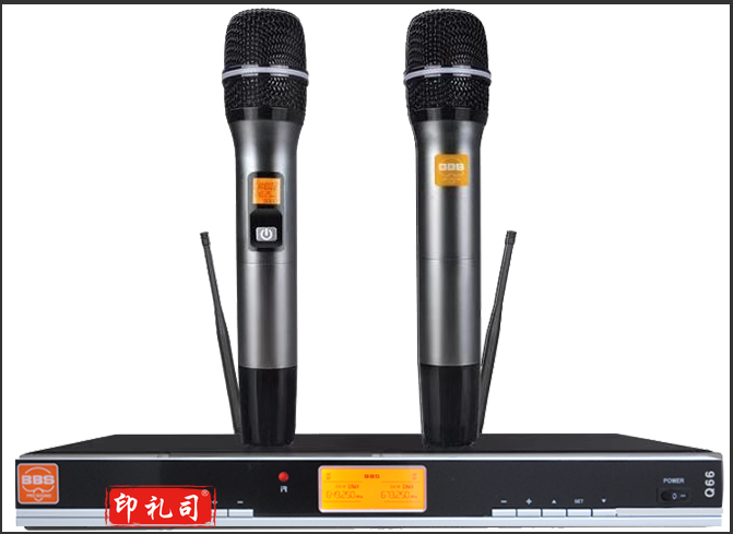 BBS W9600一拖二U段麦克风BBS真分集话筒户外演出KTV话筒四天线接收