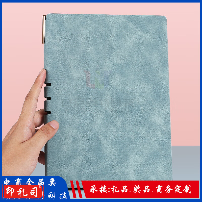 A5笔记本_申士WN18-08肤感皮革200页笔记本_奖品定制(可定制)(天蓝色).