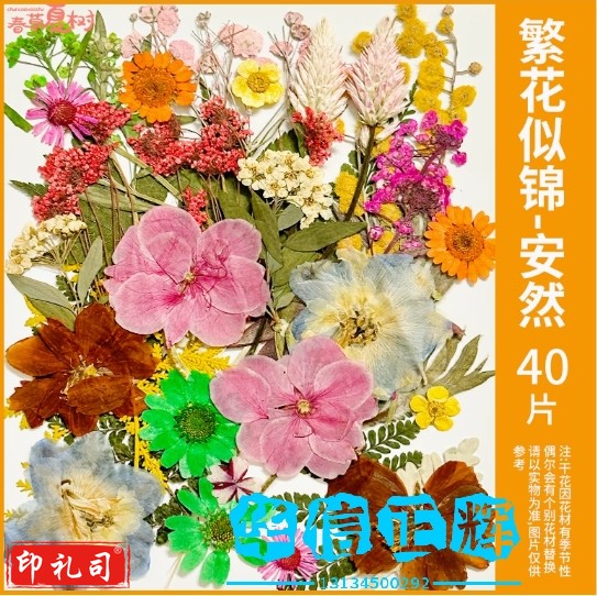 开学季手工DIY材料书签真干花押压花植物花卉幼儿园标本摆件装饰  【繁花似锦-安然】干花包40片