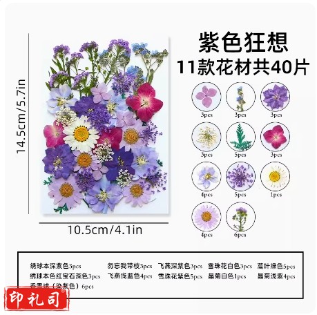 干花diy材料压花书签押花画满天星玫瑰真树叶植物标本滴紫色狂想(40片胶