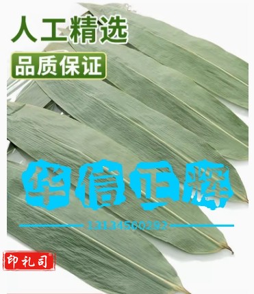 粽叶特大干粽叶子【7-9cm宽】中号200片干粽叶