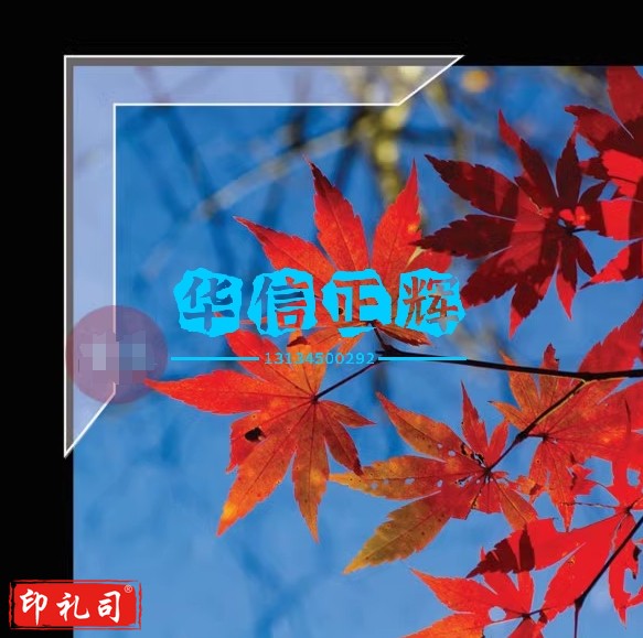 Lineco窄边型装裱套角 无酸相角 自粘 博物馆级耐久 72个/包