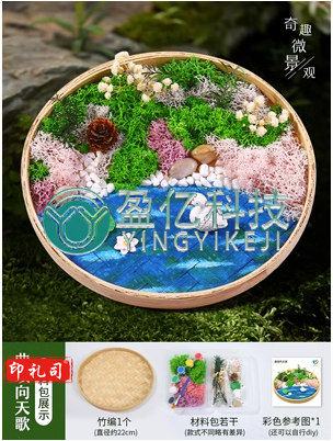 永生苔藓画材料包竹编筐手工DIY竹框创意植物画绿植相框暖场团建 曲项向天歌