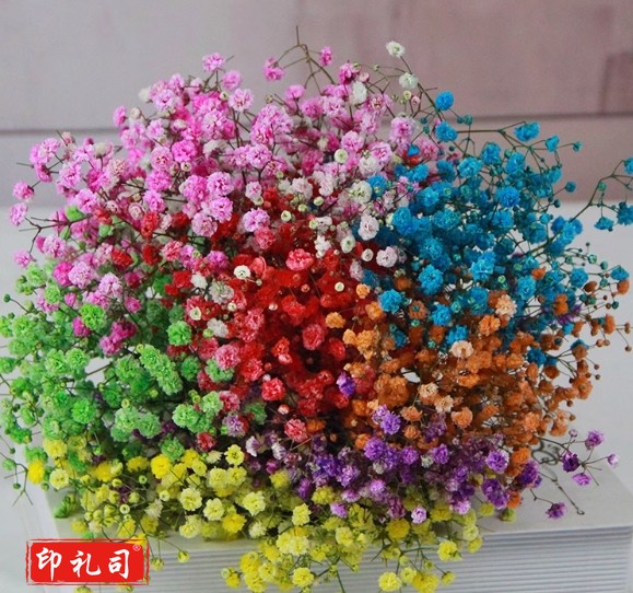 干花花束客厅摆设装饰摆件风干天然真花 彩色满天星 半斤