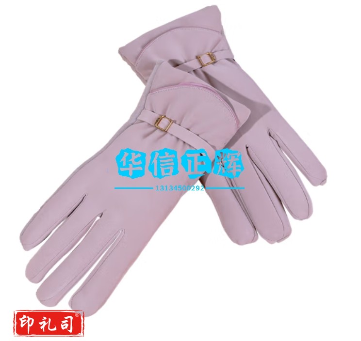 艾丝雅兰 A-F725 蓄热触屏保暖手套 女：皮粉