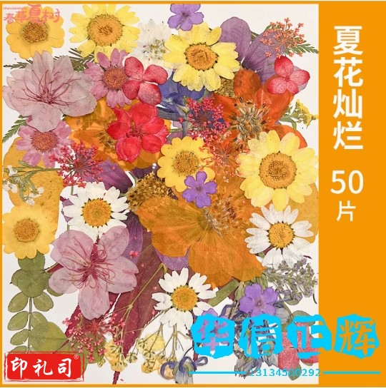 开学季手工DIY材料书签真干花押压花植物花卉幼儿园标本摆件装饰  【夏花灿烂】干花包50片