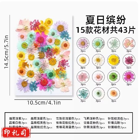 干花diy材料压花书签押花画满天星玫瑰真树叶植物标本夏日缤纷(约40片)滴胶