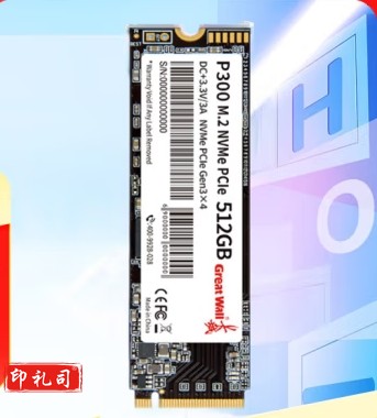 长城(Great Wall)SSD固态硬盘M.2接口(NVMe协议)PCIe3.0x4 P300系列台式笔记本通用硬盘 畅玩游戏 P300-512G 固态硬盘