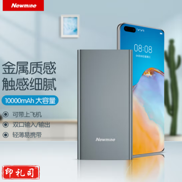 纽曼（Newmine ）M106移动电源10000毫安时 双USB输出Type-C输入金属充电宝 灰