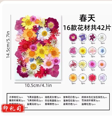 干花diy材料压花书签押花画满天星玫瑰真树叶植物标本滴春天干花包(42片胶