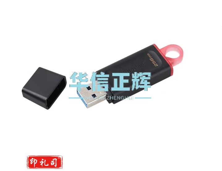 金士顿(Kingston)256GB USB3.2 Gen 1 U盘 DTX 大容量U盘 时尚设计 轻巧便携