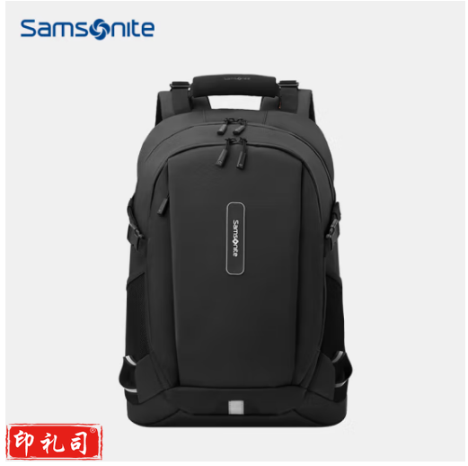 新秀丽（Samsonite）双肩包电脑包男士防水旅行包笔记本电脑包15.6英寸BP4*003黑色
