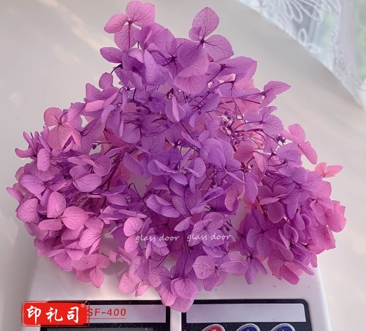 永生花绣球渐变色手工diy干花婚鞋贴脸玻璃罩花器团建活动花艺课安娜粉紫渐变5克
