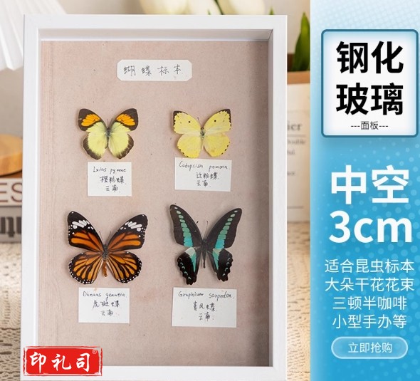 中空相框摆台手工昆虫标本盒立体展示框A/4寸(内径21*29.7cm)白色(中空3cm)