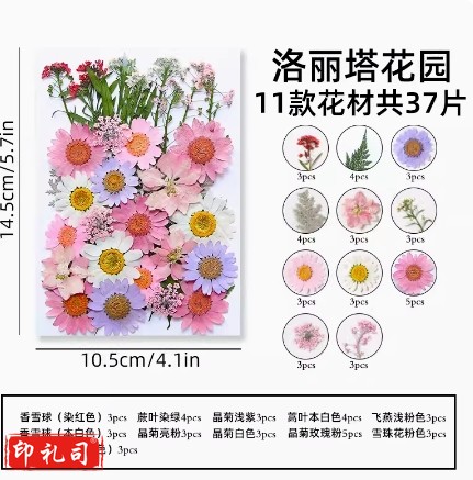 干花diy材料压花书签押花画满天星玫瑰真树叶植物标本滴胶