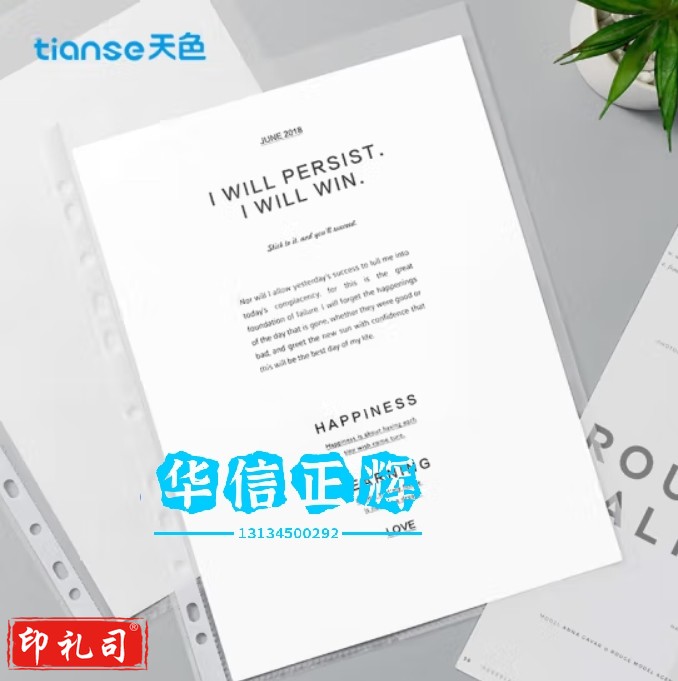 天色 100个装11孔透明内页文件袋加厚活页袋插页袋 防水资料袋文件夹替芯 搭配孔夹快劳夹 TS-233