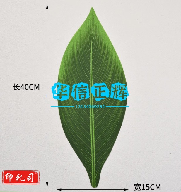 假粽子叶仿真粽子叶端午节装饰单片假树叶假绿叶学校节日活动叶子 假粽子叶仿真粽子叶