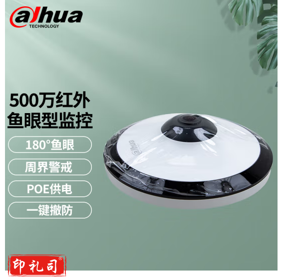 dahua大华高清500万红外鱼眼型网络摄像机全景摄像头支持外接音频插卡网络摄像机 500万鱼眼半球
