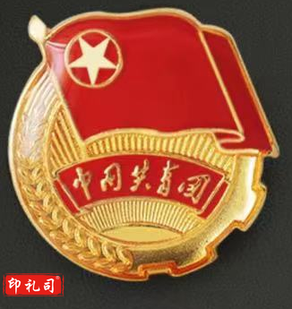 团徽徽章 正版 加厚 标准型团徽  背面带 共青团中央监制字样(别针款 磁扣款 可选)10个一套，整套出售