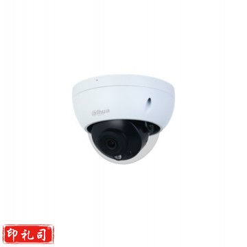 大华 400万星光红外定焦半球网络摄像机POE供电 DH-IPC-HDBW3433R-SA 焦距3.6mm