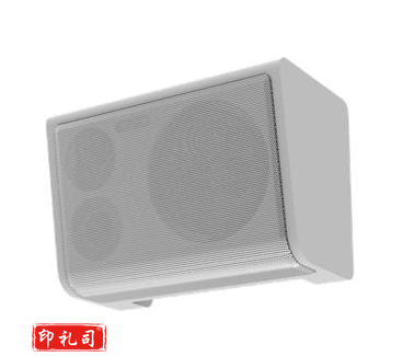 希沃(Seewo)一体化有源音箱SS20B