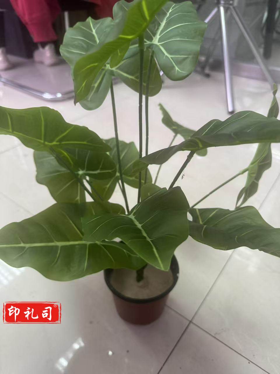 仿真绿植盆栽 办公室客厅绿化植物免照顾浇水假花