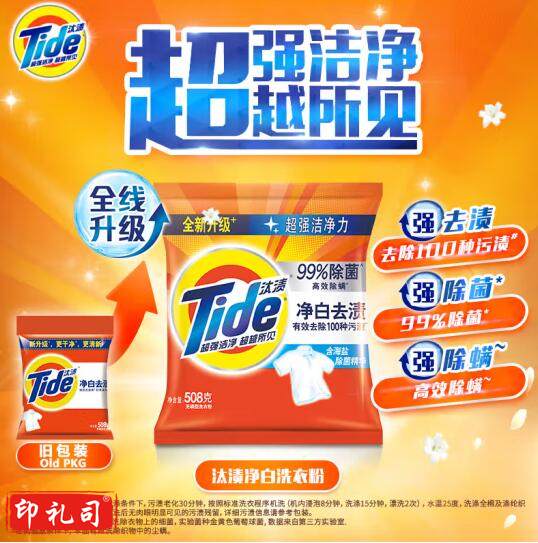 汰渍洗衣粉 净白去渍 508g*1袋