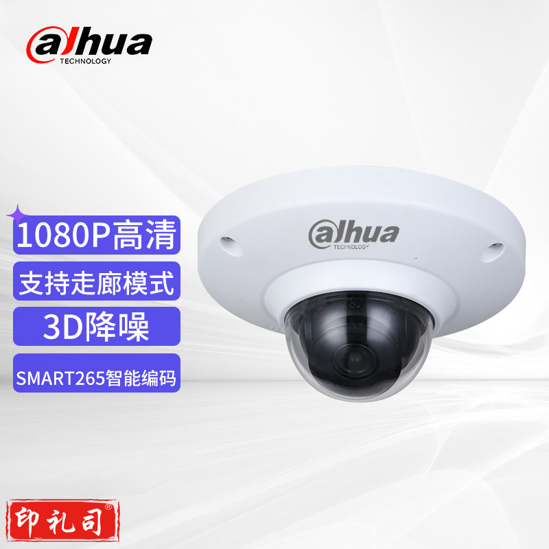 大华（Dahua）监控摄像头200万POE供电H.265防暴电梯半球摄像头内置MIC DH-IPC-HDP2230C-SA镜头3.6mm