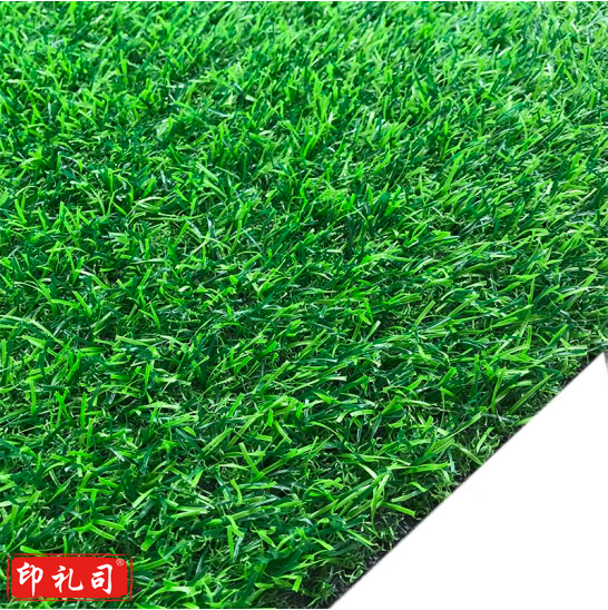 巨联 免充砂人造草坪2米*4米     货号：GD