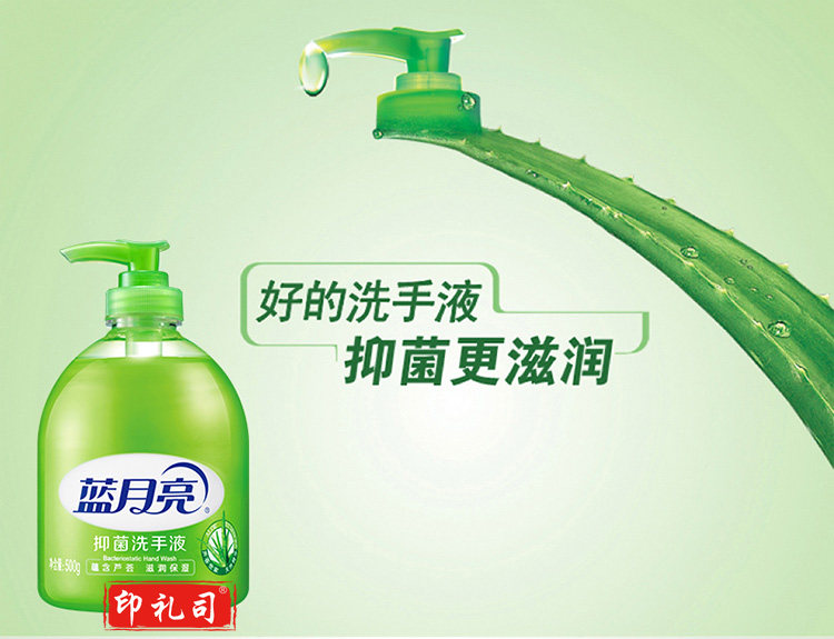 蓝月亮 芦荟抑菌洗手液 500g瓶 抑菌99.9% 泡沫丰富
