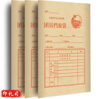 团员档案袋.