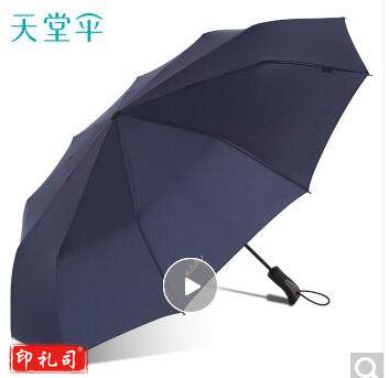 天堂伞 晴雨伞10骨加固一键开收易甩干简约全自动雨伞男女 藏青 58CM*10骨