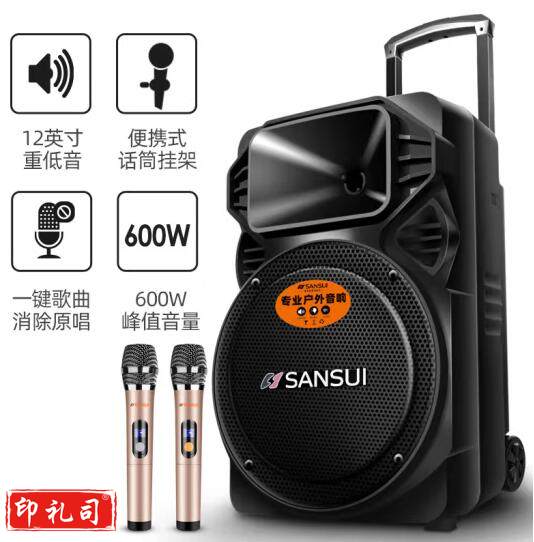 山水(SANSUI) A12-66广场舞音响户外K歌重低音蓝牙音响便携式移动舞台拉杆音箱大功率扩音器 旗舰版(拉杆音箱+2个话筒)