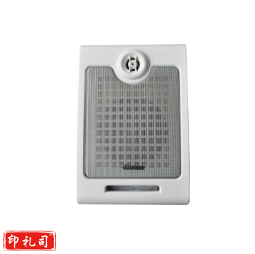 湖山 BGS-5W  壁挂扬声器